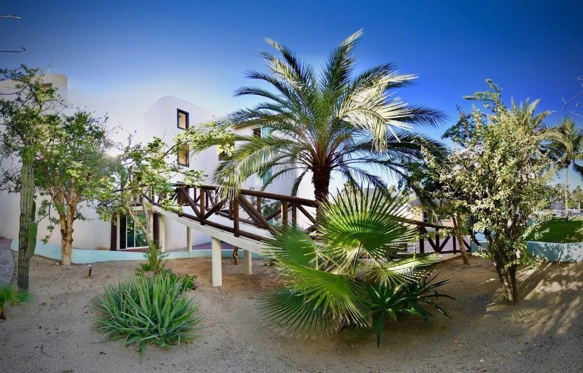 Sm Apartments San José del Cabo Kültér fotó